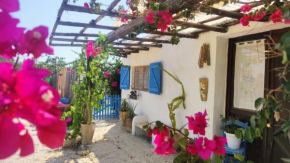 Sweet Old House, Marsala